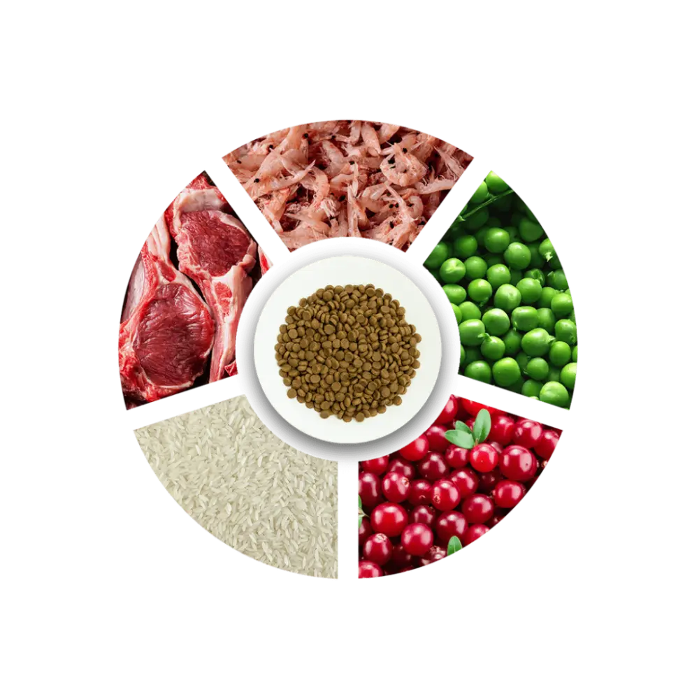 KuJGzfykUGu5EBlENBxV1RtdY72CPraU4TkBb4UL (1).webp