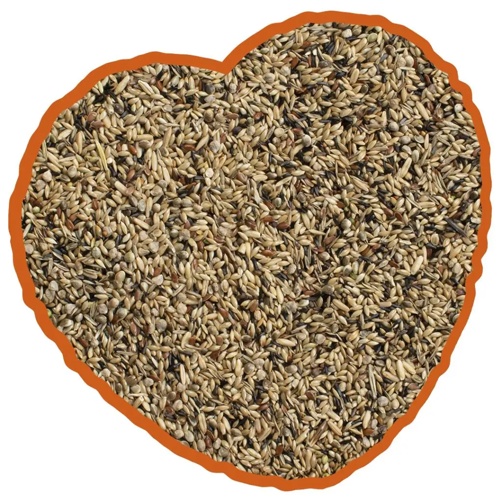 5414365352516_fod_webl (1).webp