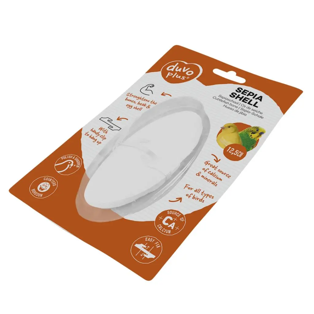 Duvo Sepia Shell / صدفة سيبيا دوفو