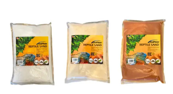 Dophin Reptile Sand
