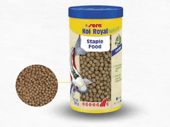 Sera Koi Royal Nature سيرا كوي رويال ناتشر 