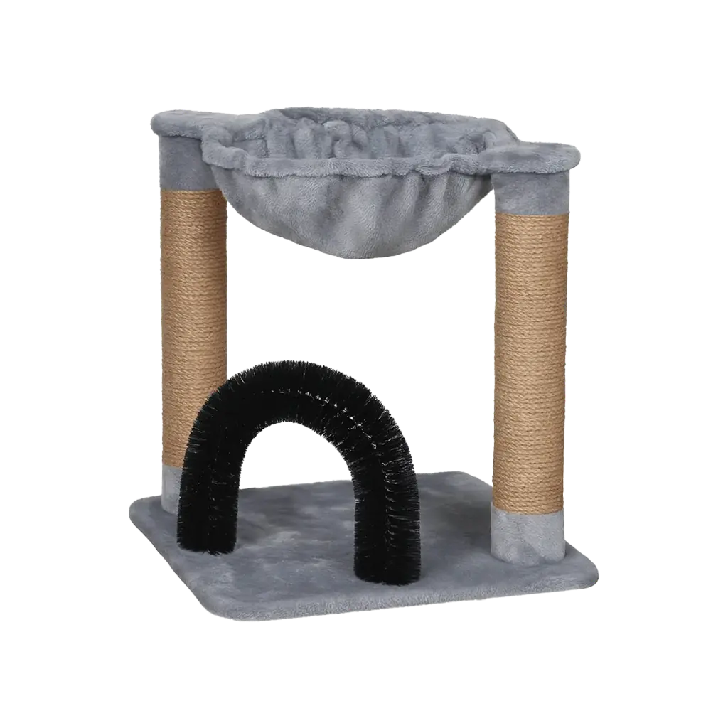 محطة القطط المقوسة المريحة\