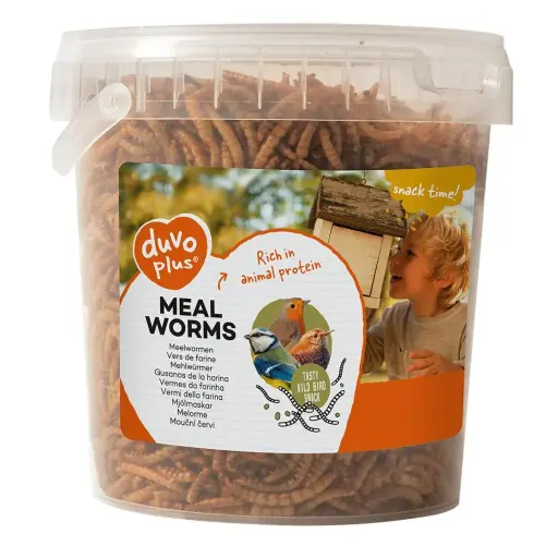 Duvo Meal Worms / دودة الوجبة دوفو