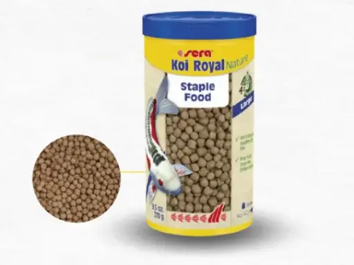 Sera Koi Royal Nature سيرا كوي رويال ناتشر 