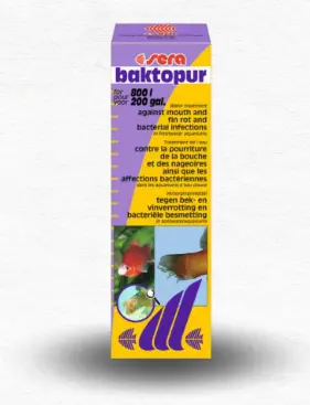 Sera Baktopur  سيرا باكتوبور 