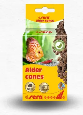 Sera Alder Cones  سنابل الكستناء سيرا 