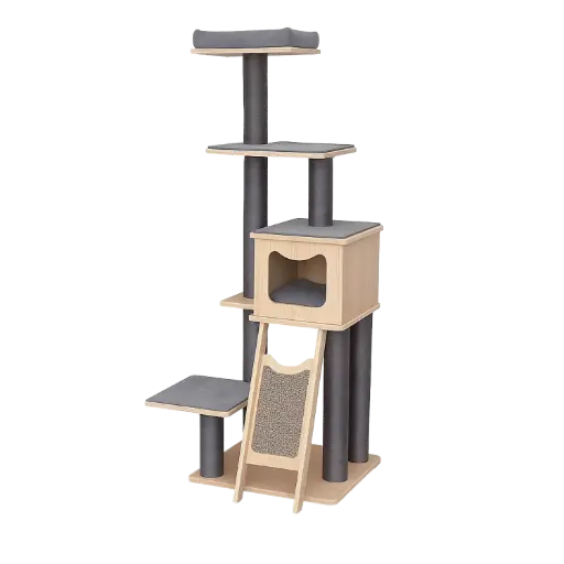 قلعة التسلق والاسترخاء