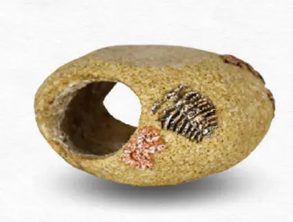 Dophin KW Zone Resin Ornament / زينة الراتنج دولفين 