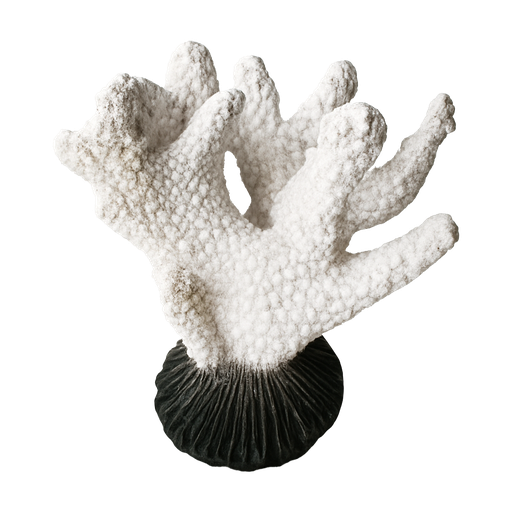 Dophin KW Zone Aquarium Decoration